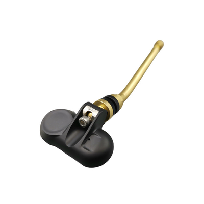 TPMS RV 타이어 압력 감시 체계